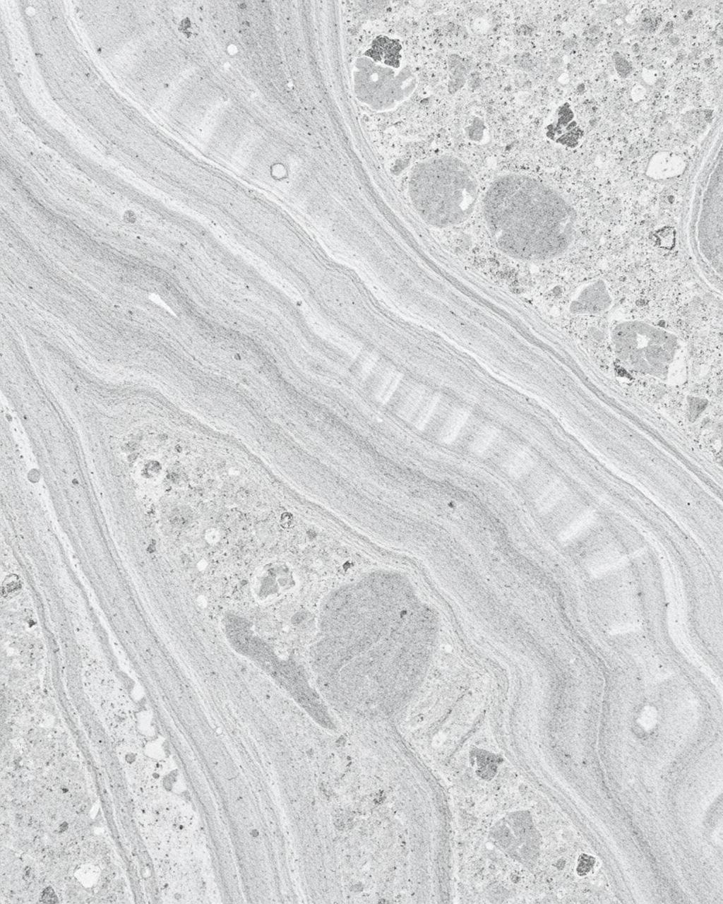 Quartzite stone slab close-up